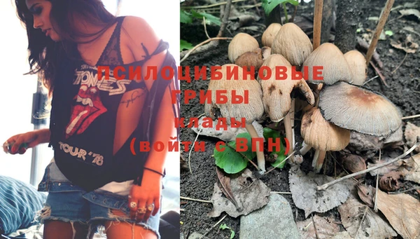 хмурый Михайлов