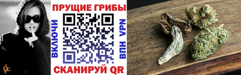 Купить закладки  Дубовка  Галлюциногенные грибы мухоморы 